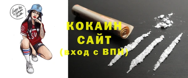ГАЛЛЮЦИНОГЕННЫЕ ГРИБЫ Белокуриха