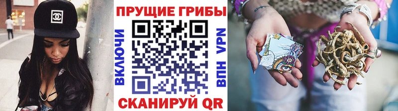 Галлюциногенные грибы Magic Shrooms хочу Нефтекумск